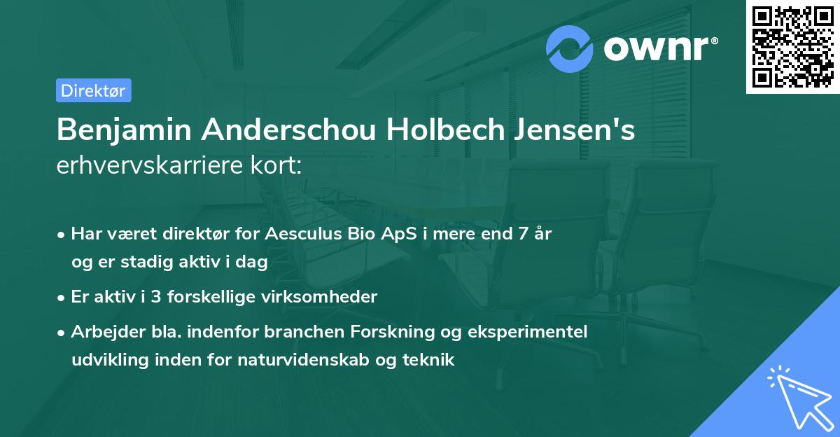 Benjamin Anderschou Holbech Jensen's erhvervskarriere kort