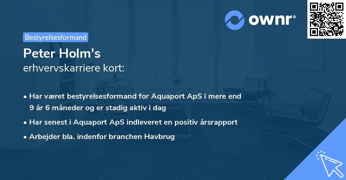 Peter Holm's erhvervskarriere kort