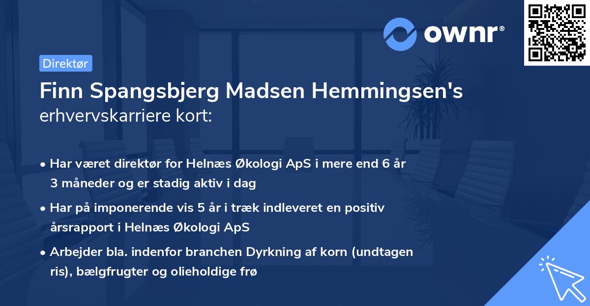 Finn Spangsbjerg Madsen Hemmingsen's erhvervskarriere kort