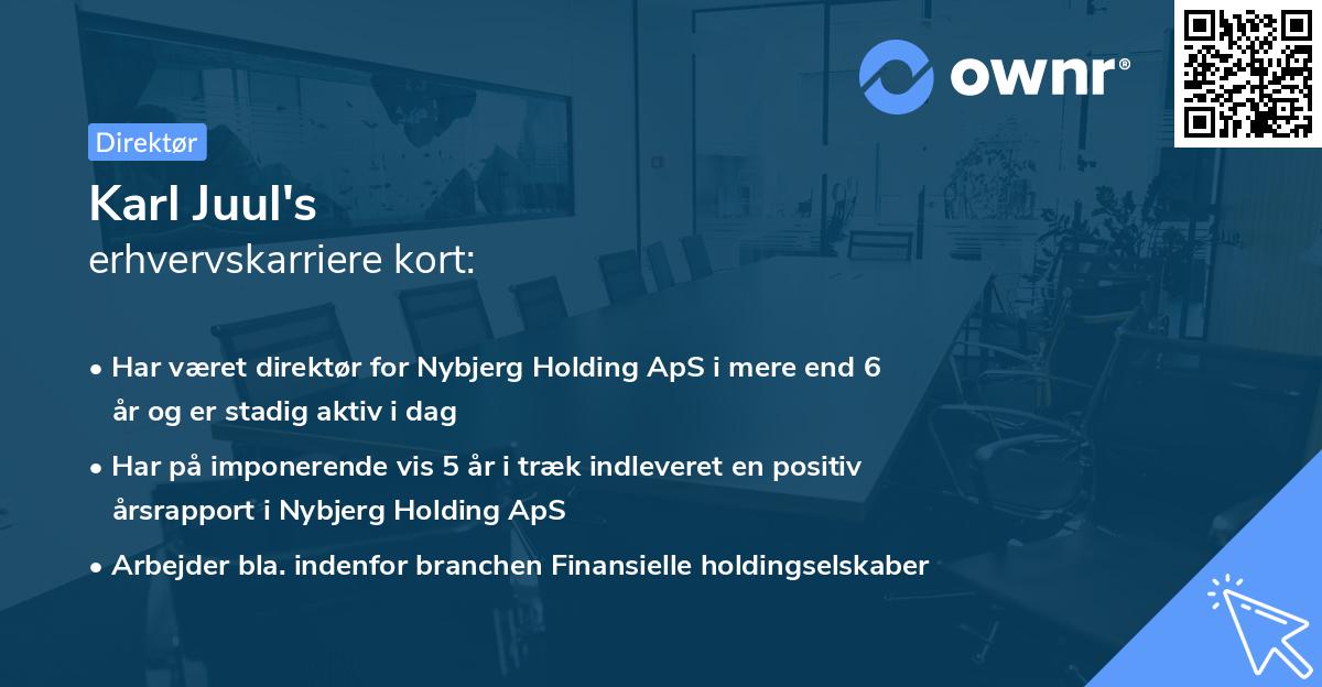 Karl Juul's erhvervskarriere kort