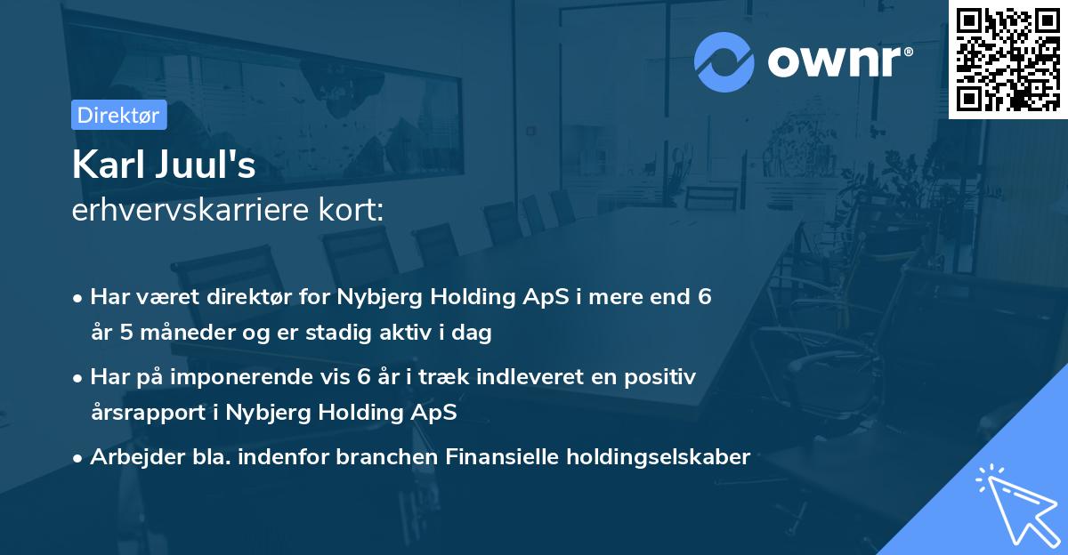 Karl Juul's erhvervskarriere kort