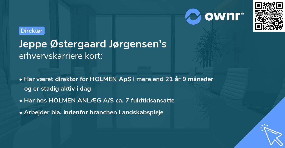 Jeppe Østergaard Jørgensen's erhvervskarriere kort