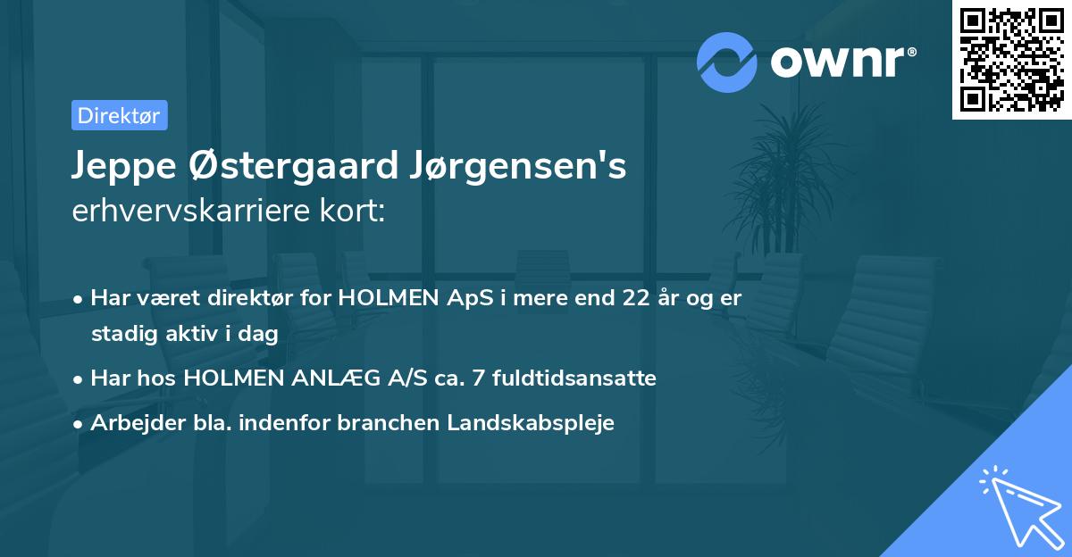 Jeppe Østergaard Jørgensen's erhvervskarriere kort