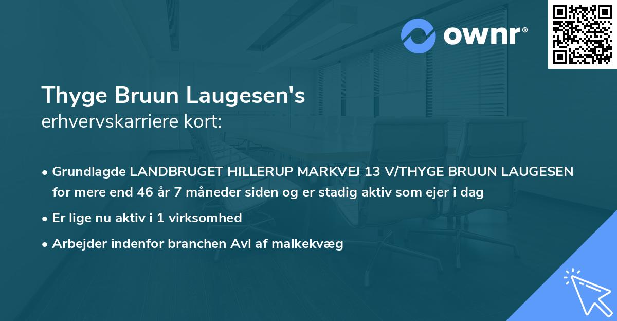 Thyge Bruun Laugesen's erhvervskarriere kort