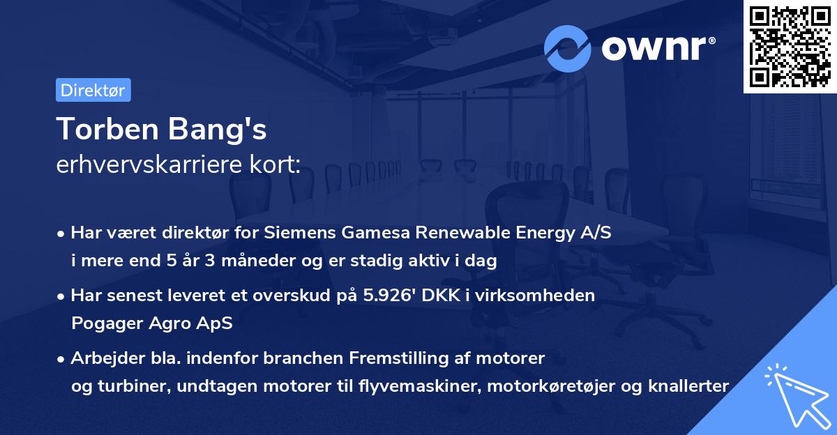 Torben Bang's erhvervskarriere kort