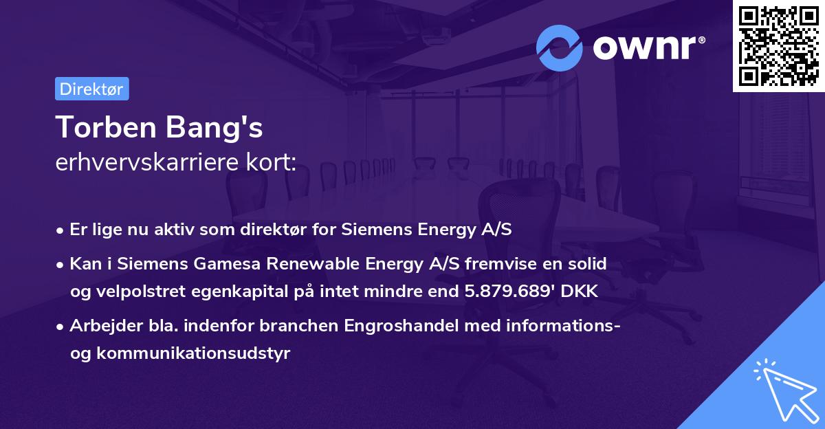 Torben Bang's erhvervskarriere kort