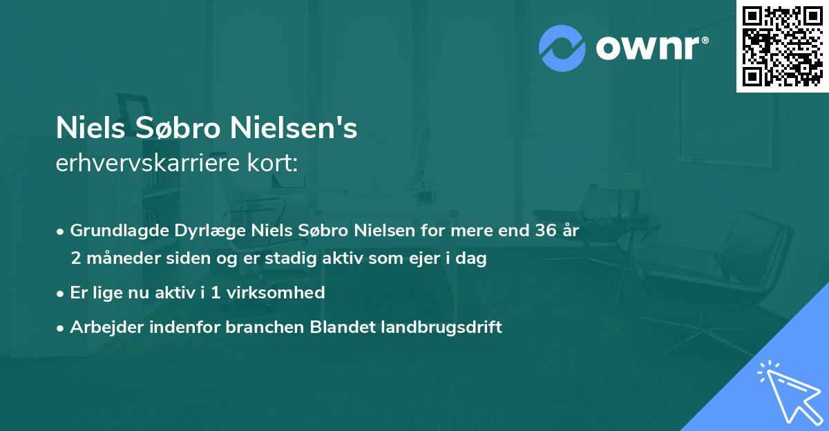 Niels Søbro Nielsen's erhvervskarriere kort