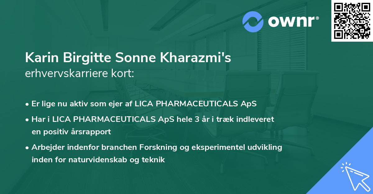 Karin Birgitte Sonne Kharazmi's erhvervskarriere kort