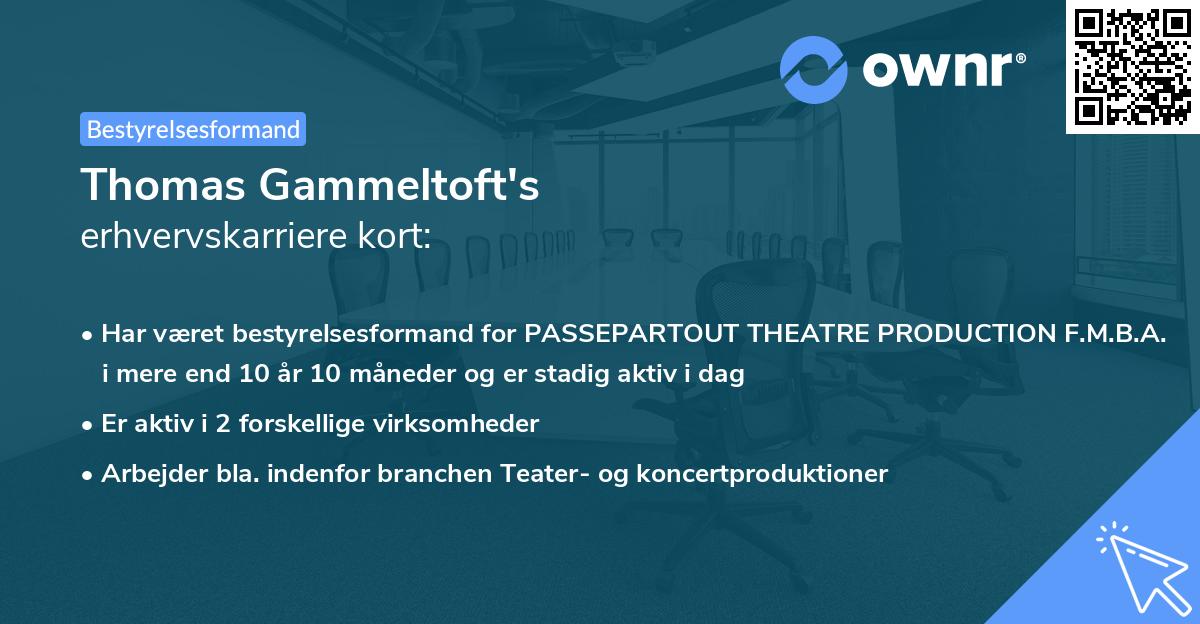 Thomas Gammeltoft's erhvervskarriere kort