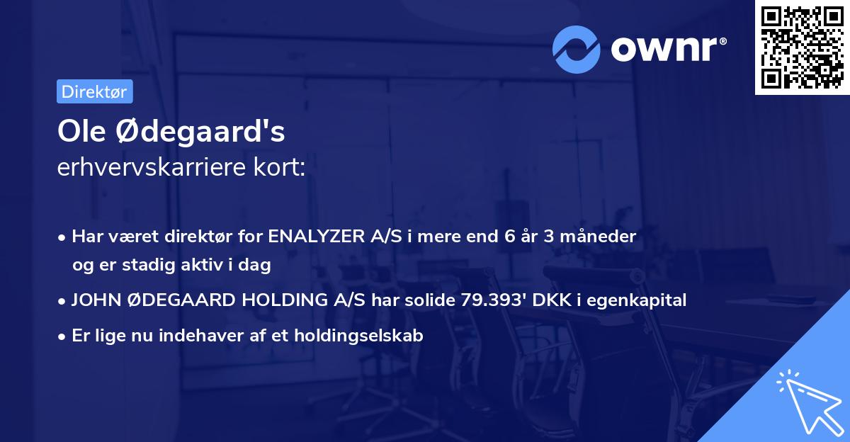 Ole Ødegaard's erhvervskarriere kort