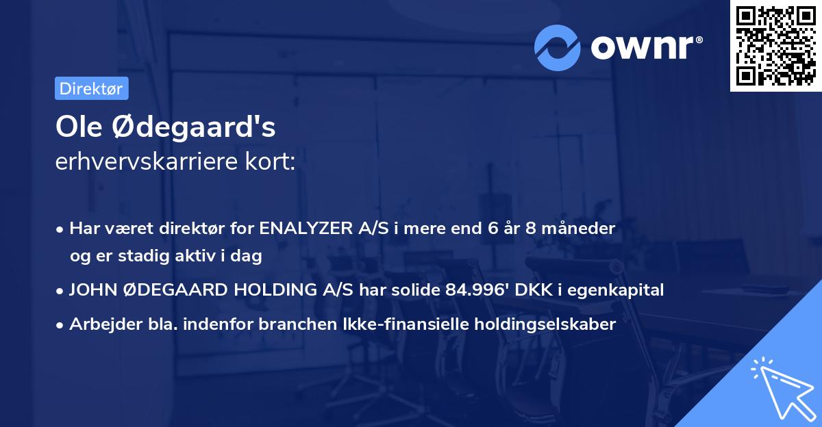 Ole Ødegaard's erhvervskarriere kort