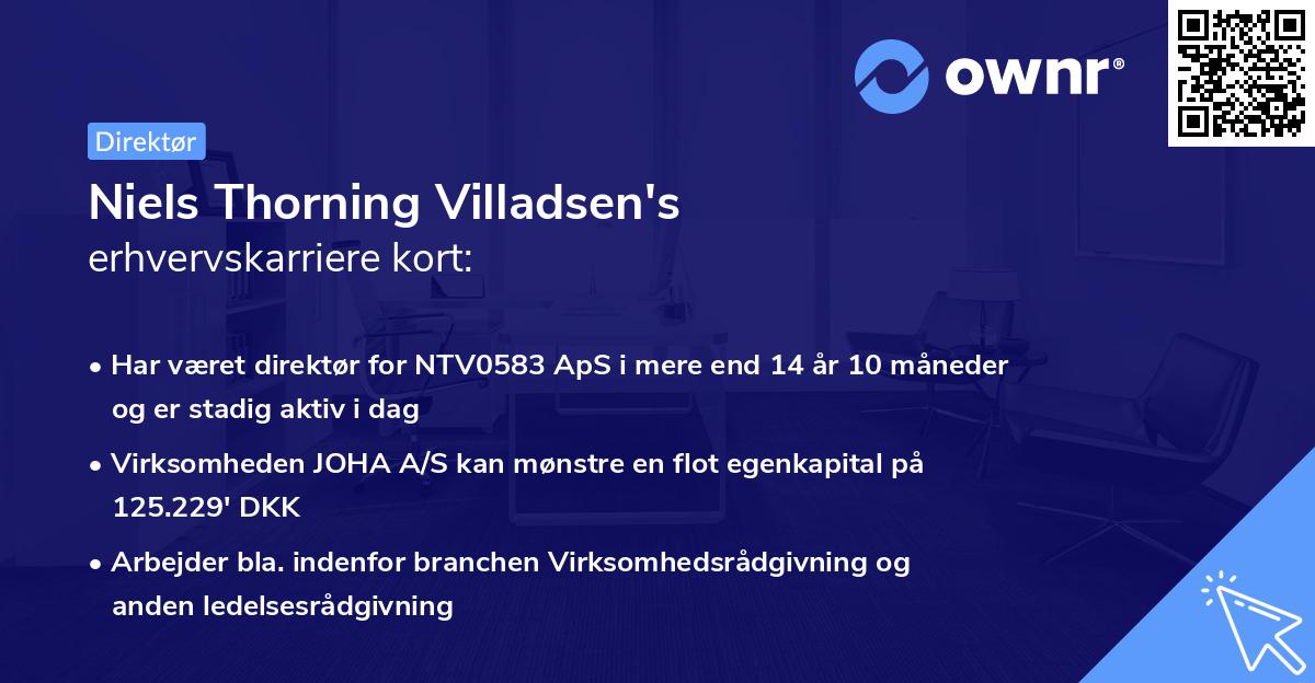 Niels Thorning Villadsen's erhvervskarriere kort