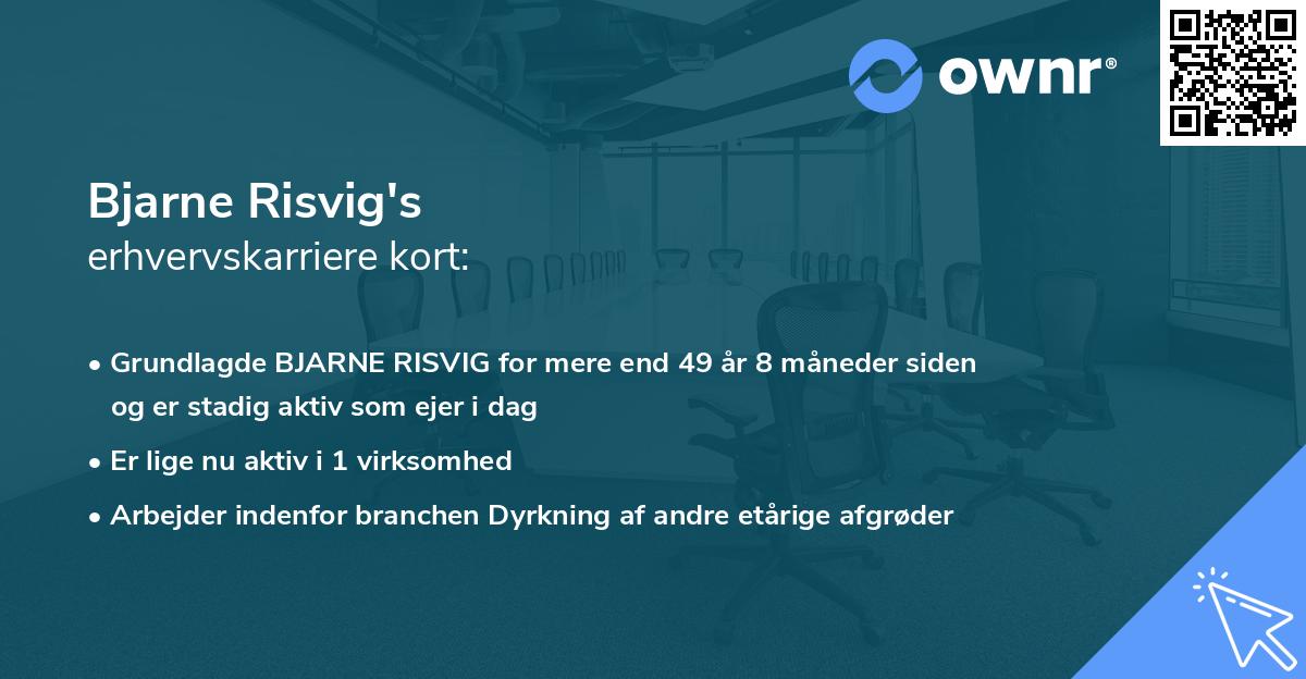 Bjarne Risvig's erhvervskarriere kort