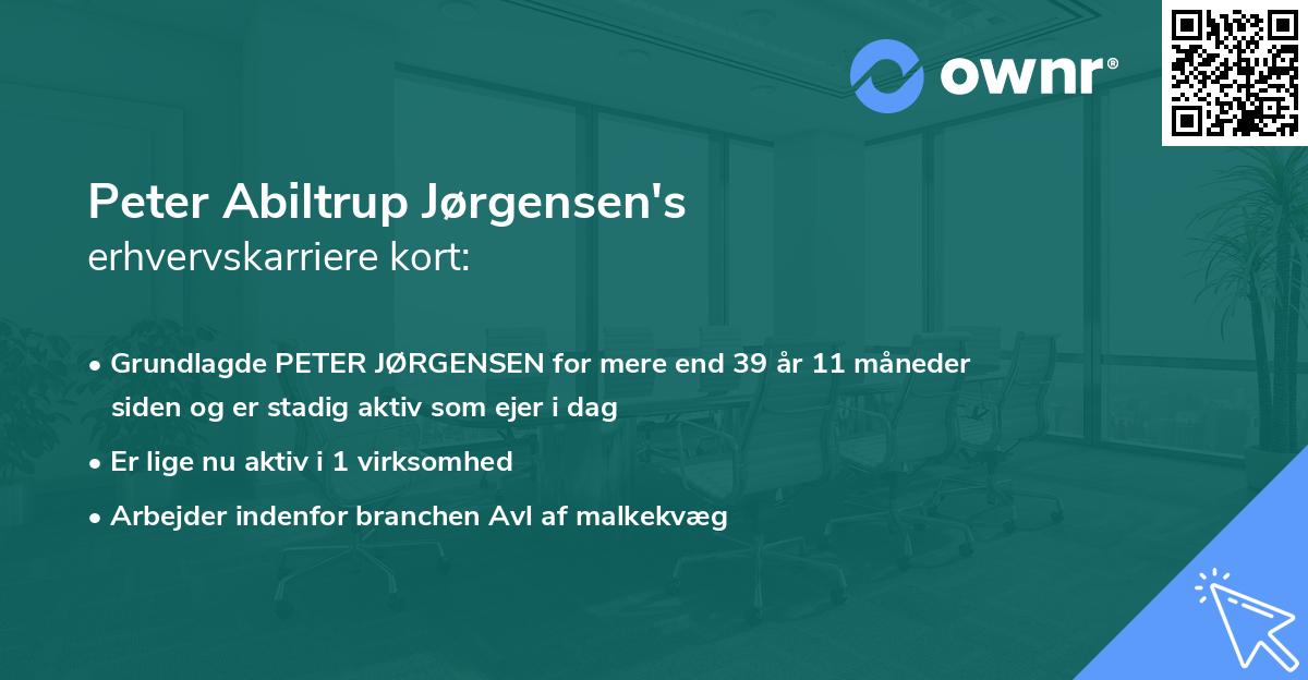 Peter Abiltrup Jørgensen's erhvervskarriere kort