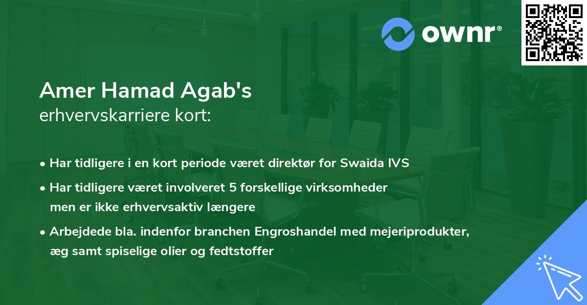 Amer Hamad Agab's erhvervskarriere kort