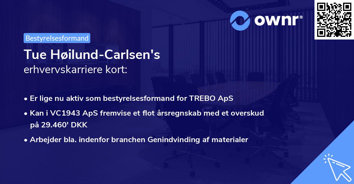 Tue Høilund-Carlsen's erhvervskarriere kort