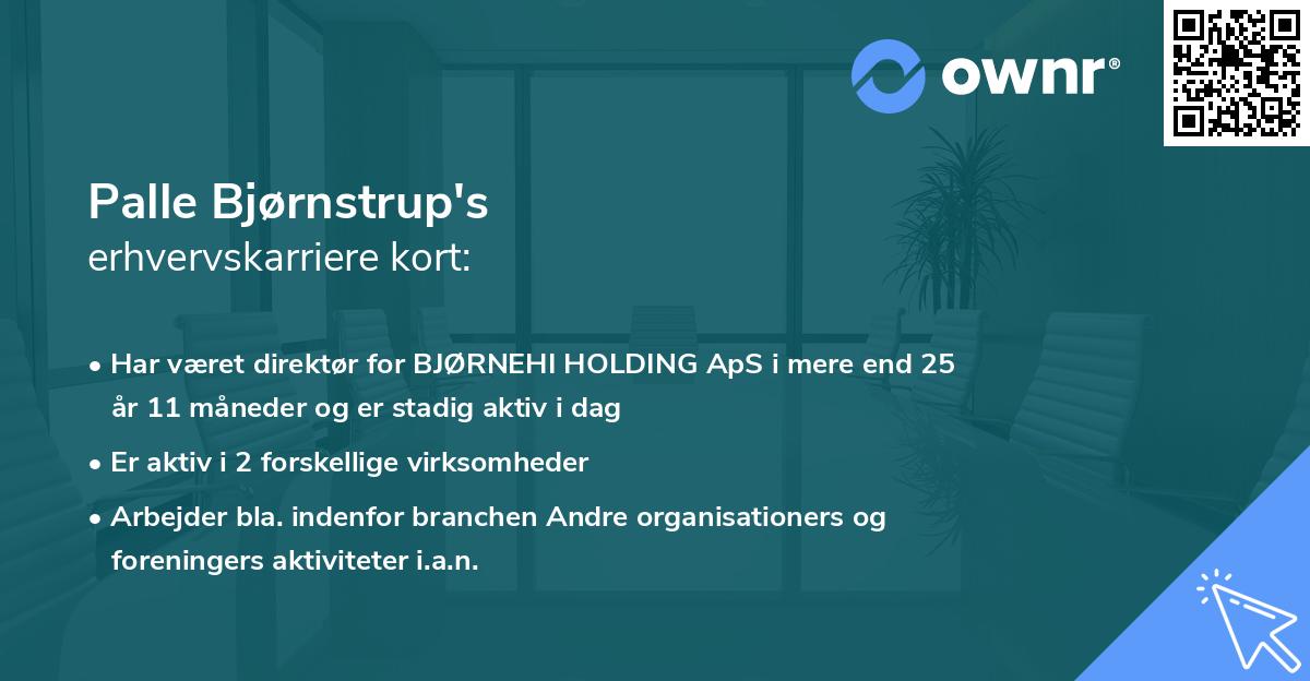Palle Bjørnstrup's erhvervskarriere kort
