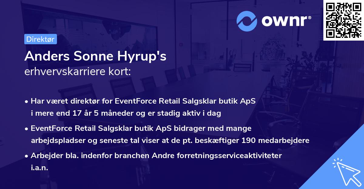 Anders Sonne Hyrup's erhvervskarriere kort