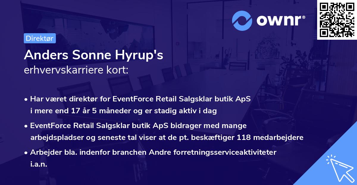 Anders Sonne Hyrup's erhvervskarriere kort