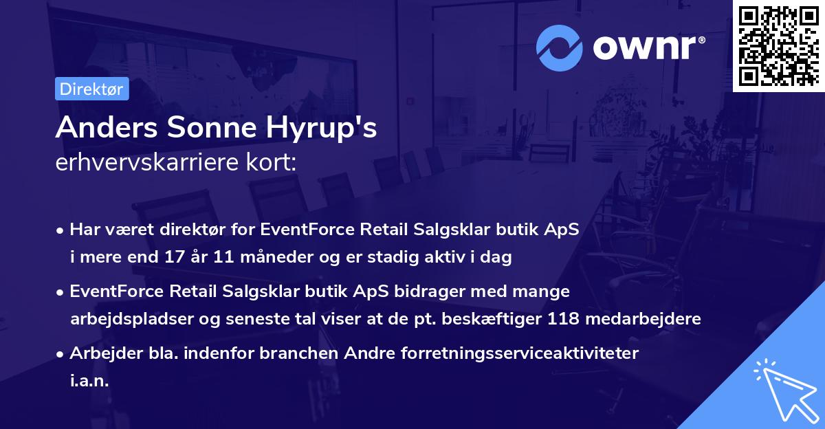 Anders Sonne Hyrup's erhvervskarriere kort