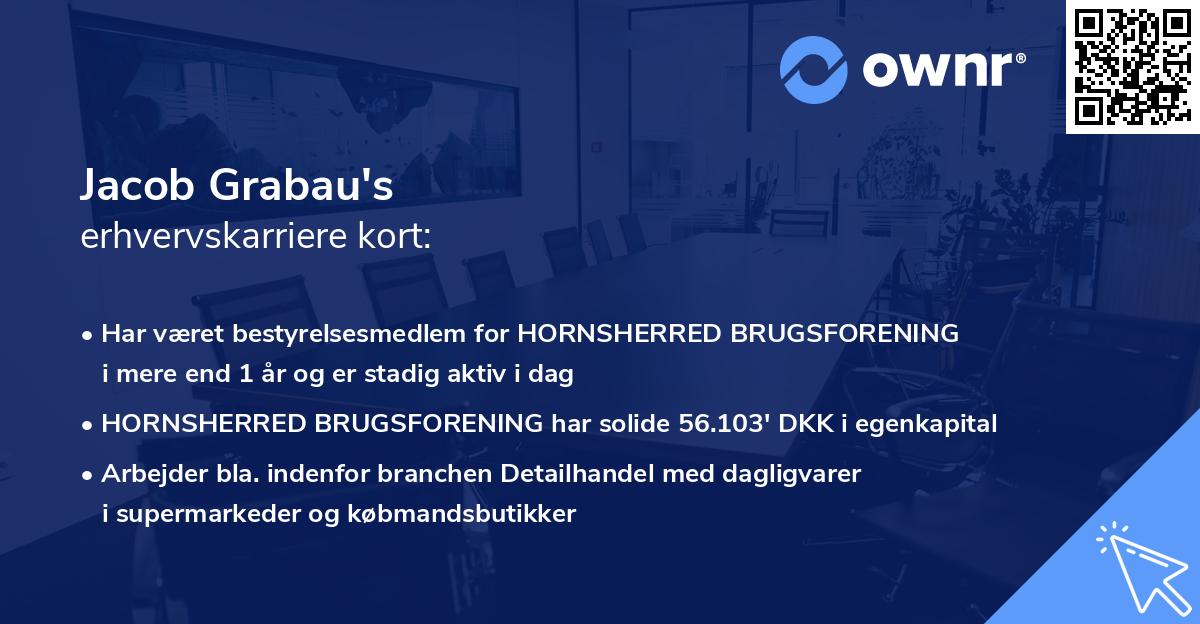 Jacob Grabau's erhvervskarriere kort