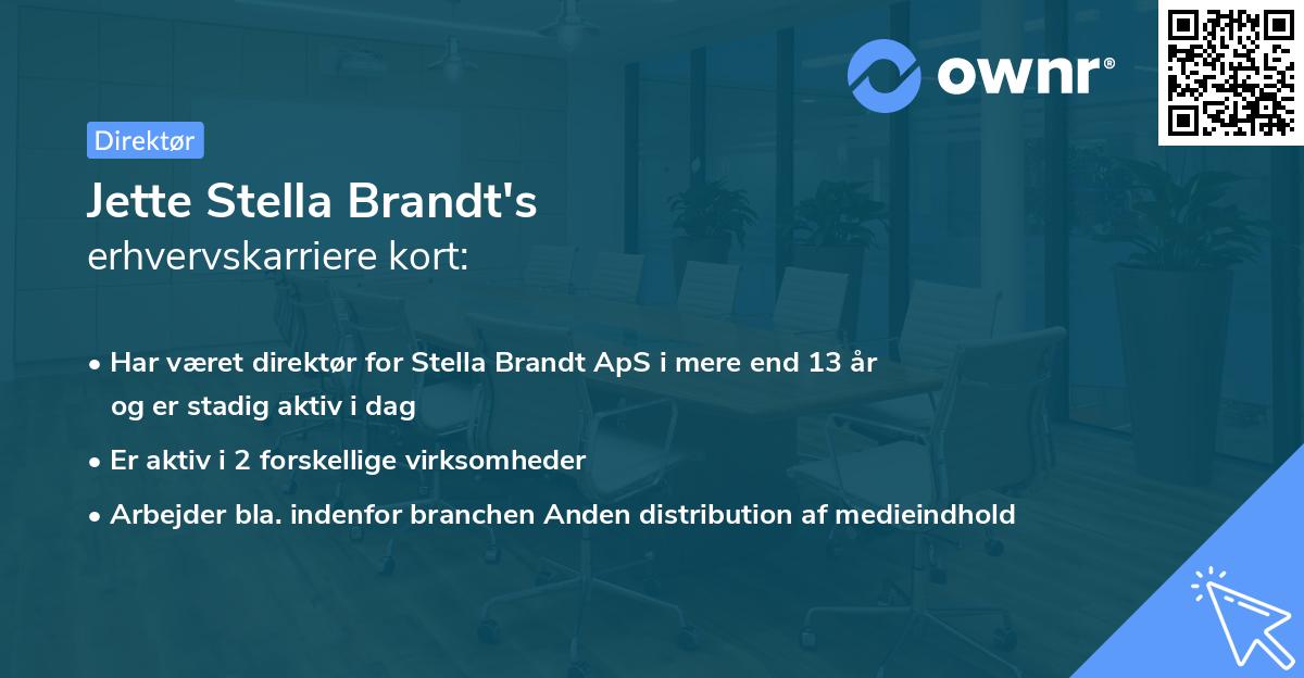 Jette Stella Brandt's erhvervskarriere kort