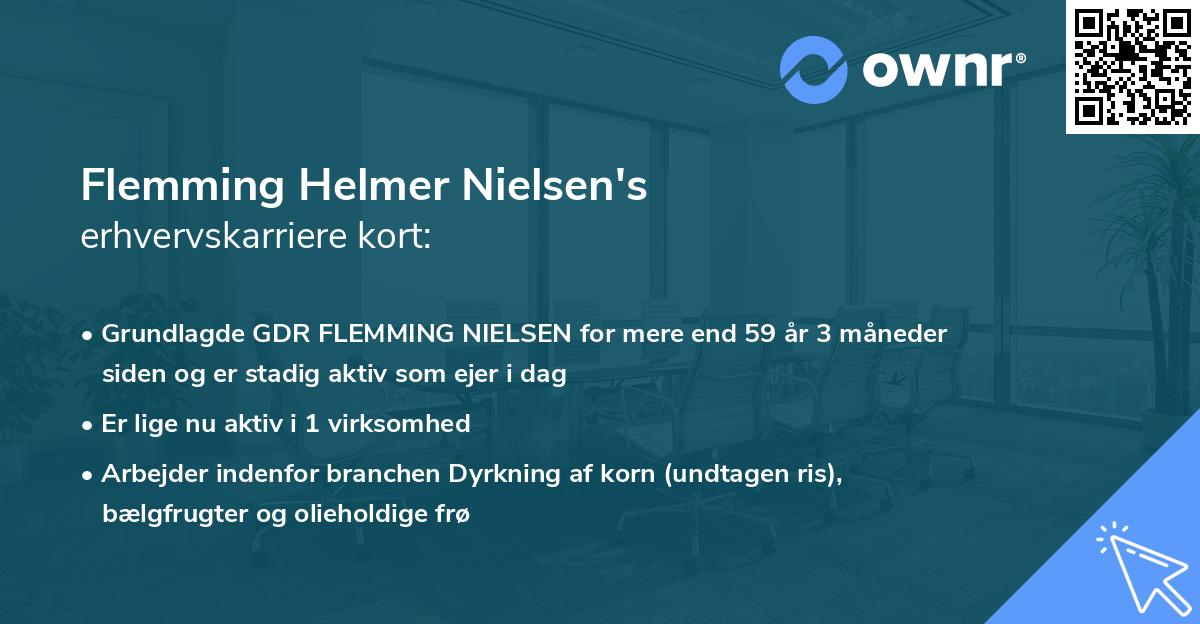 Flemming Helmer Nielsen's erhvervskarriere kort