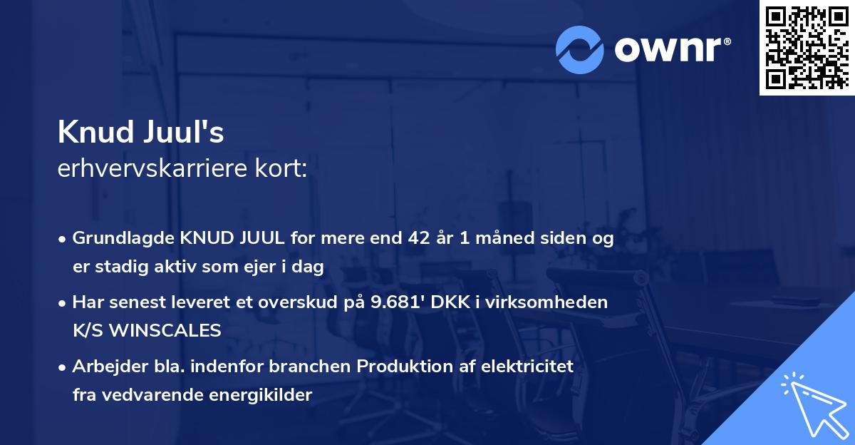 Knud Juul's erhvervskarriere kort