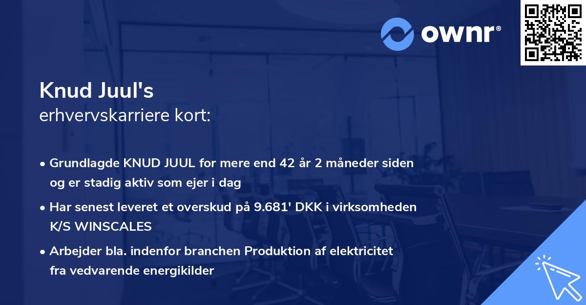 Knud Juul's erhvervskarriere kort