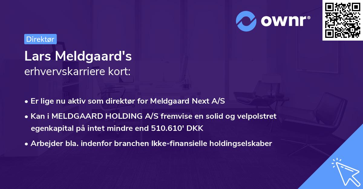 Lars Meldgaard's erhvervskarriere kort