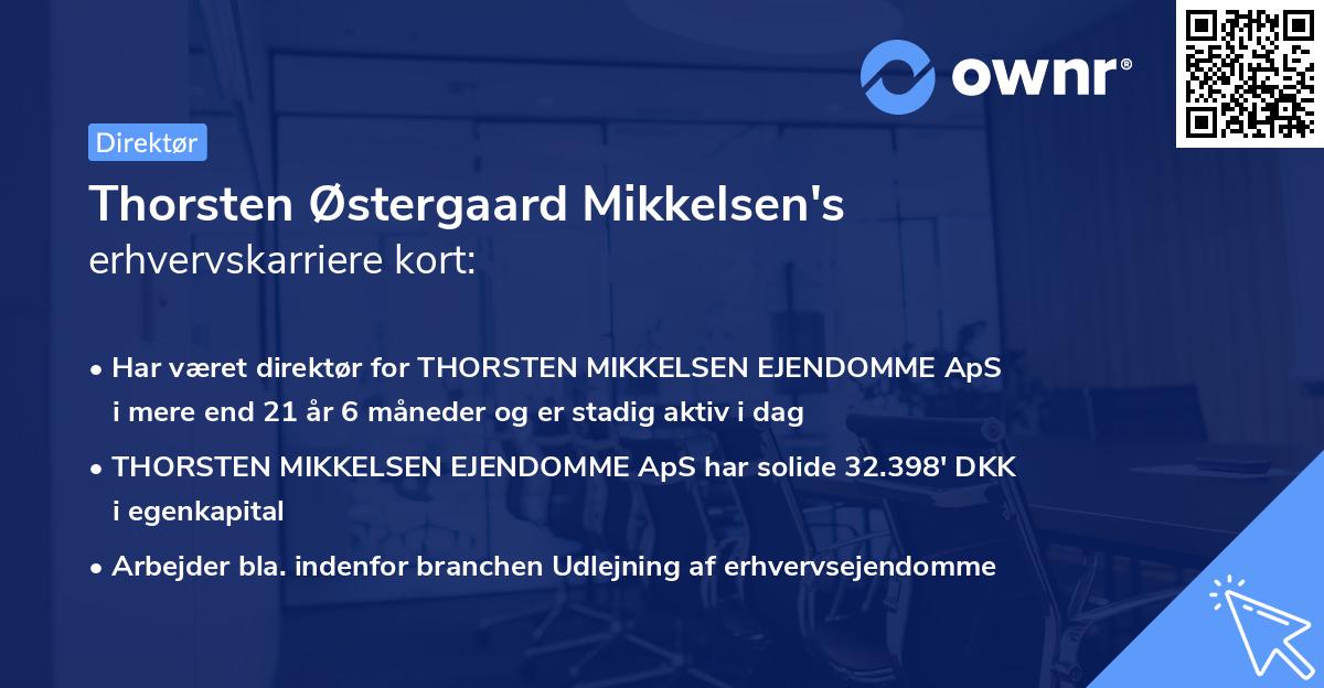 Thorsten Østergaard Mikkelsen's erhvervskarriere kort