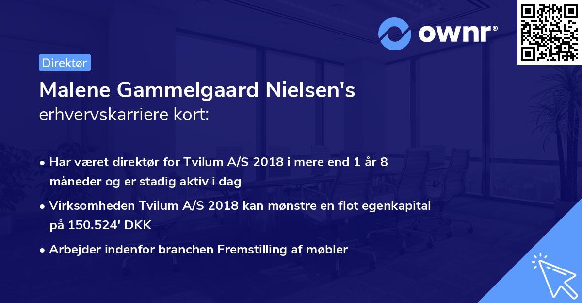 Malene Gammelgaard Nielsen's erhvervskarriere kort