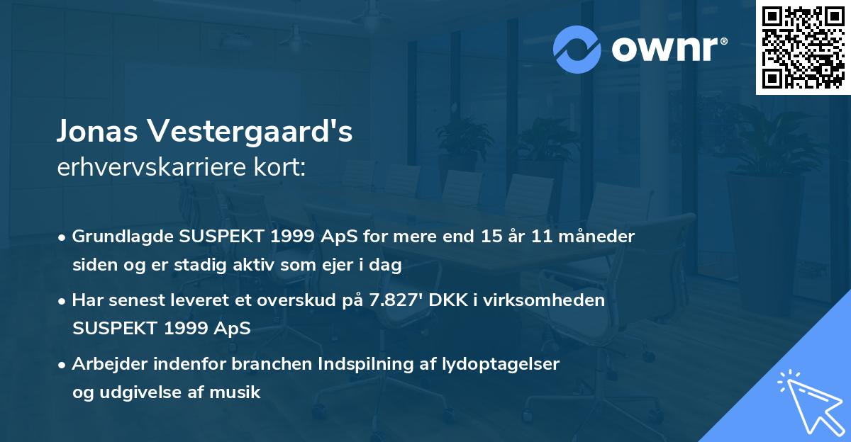 Jonas Vestergaard's erhvervskarriere kort