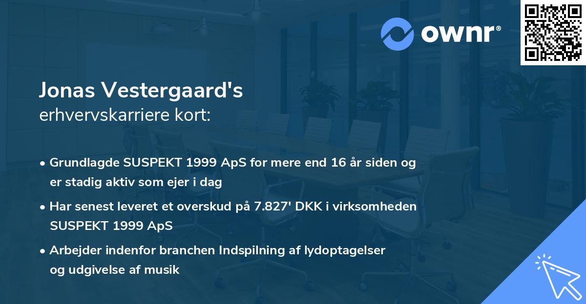 Jonas Vestergaard's erhvervskarriere kort