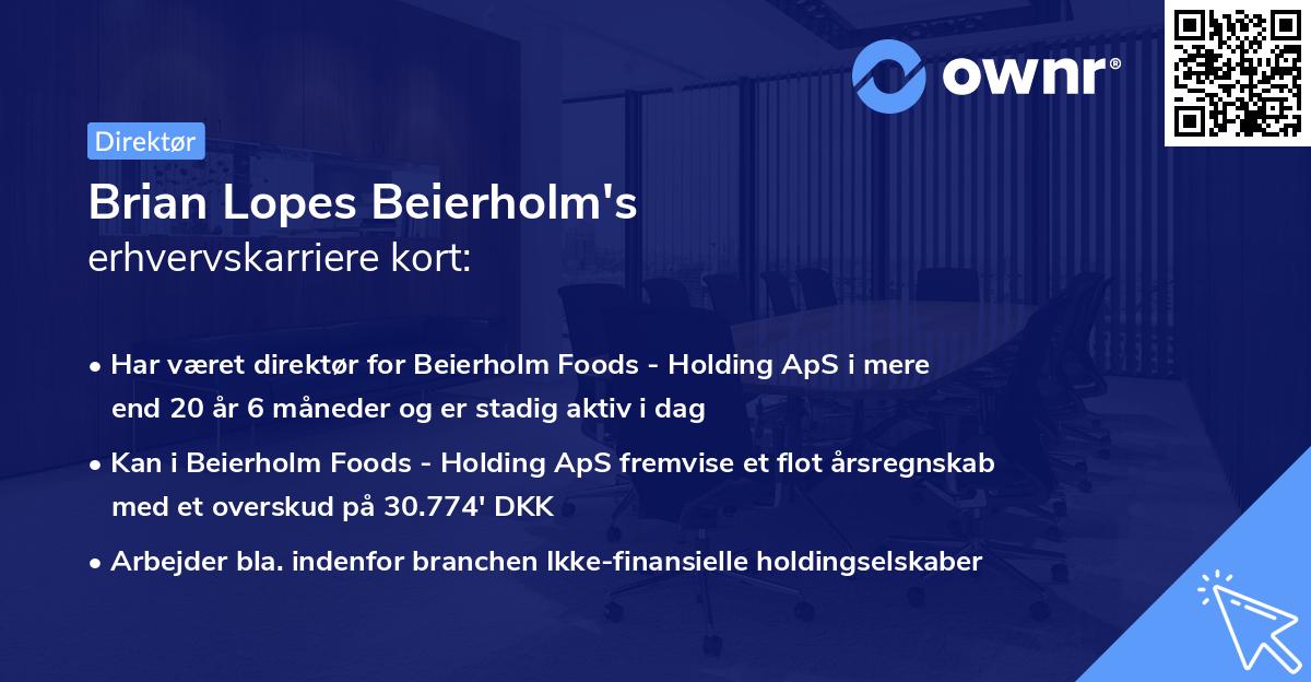 Brian Lopes Beierholm's erhvervskarriere kort