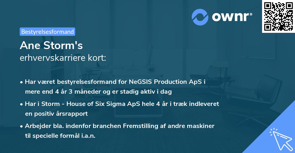 Ane Storm's erhvervskarriere kort