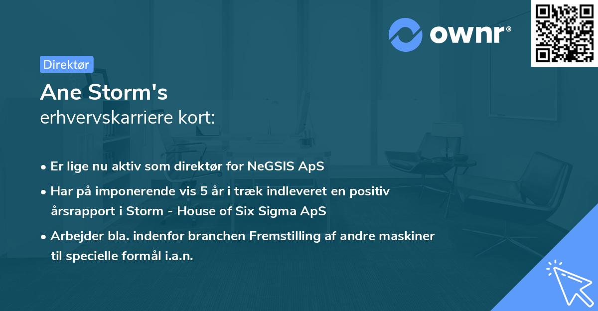 Ane Storm's erhvervskarriere kort