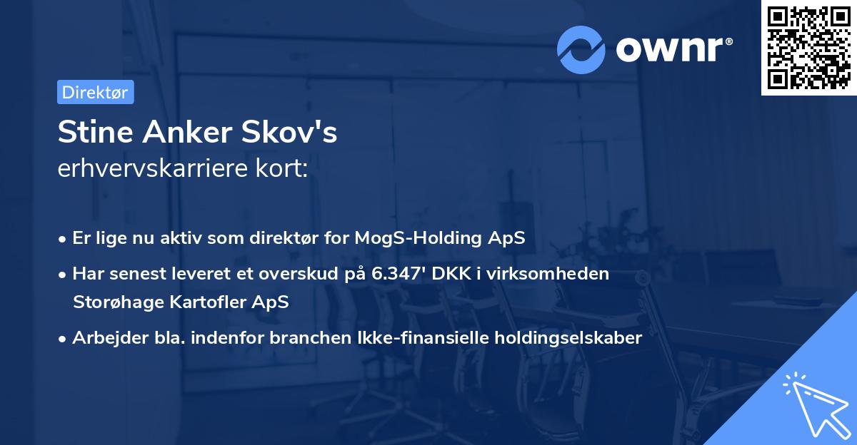 Stine Anker Skov's erhvervskarriere kort