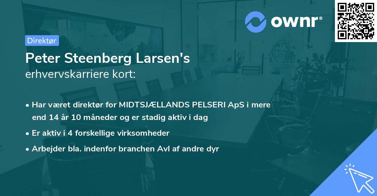 Peter Steenberg Larsen's erhvervskarriere kort