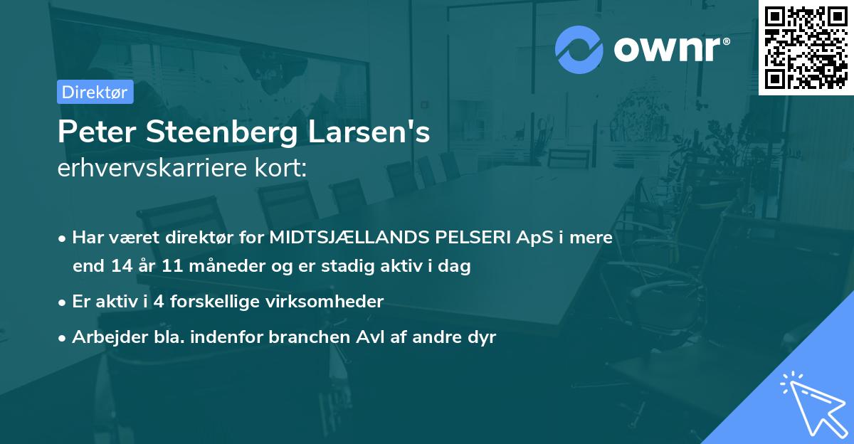 Peter Steenberg Larsen's erhvervskarriere kort