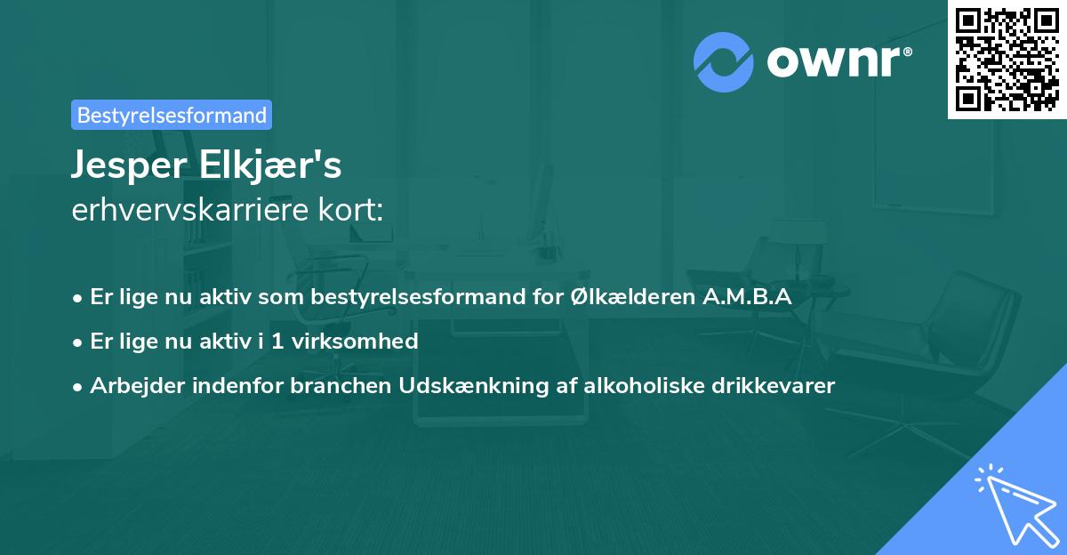 Jesper Elkjær's erhvervskarriere kort