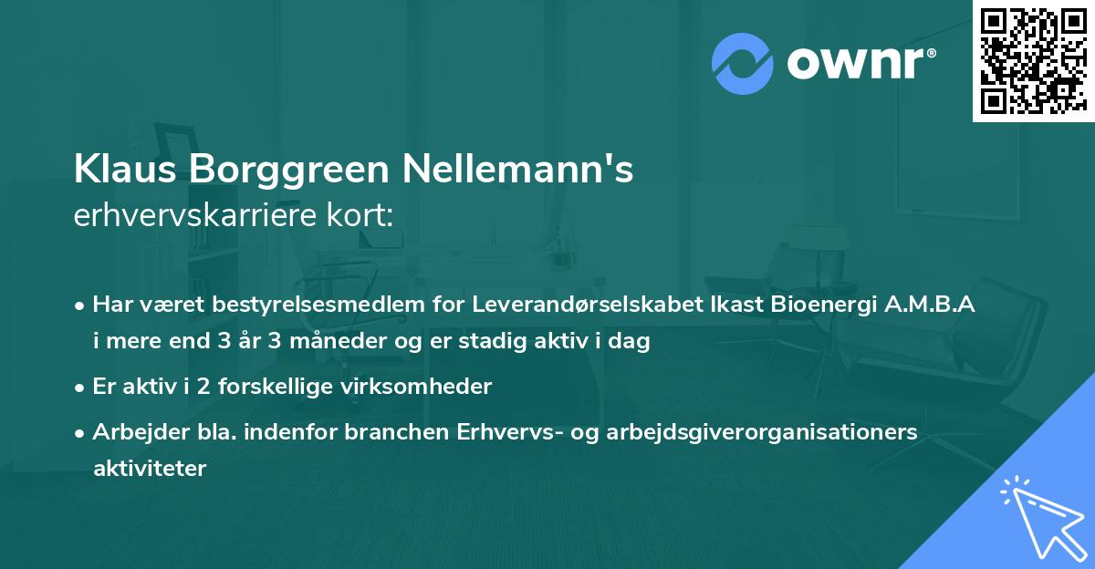 Klaus Borggreen Nellemann's erhvervskarriere kort