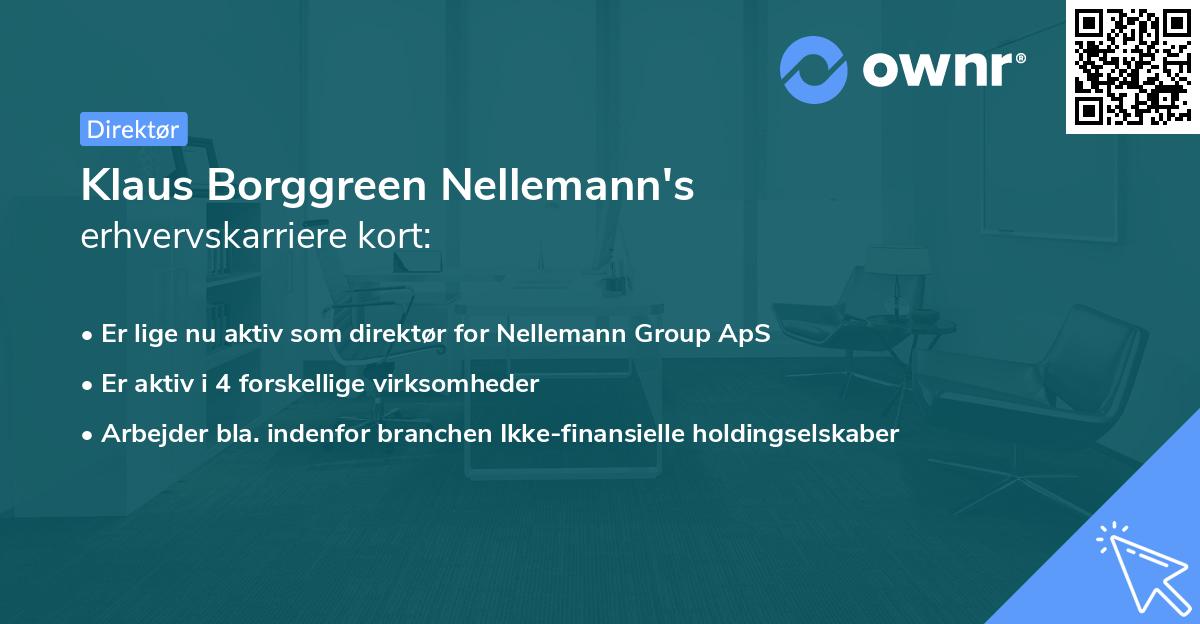 Klaus Borggreen Nellemann's erhvervskarriere kort