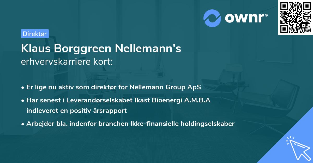 Klaus Borggreen Nellemann's erhvervskarriere kort