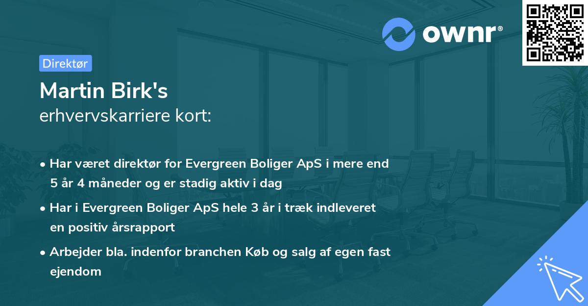 Martin Birk's erhvervskarriere kort