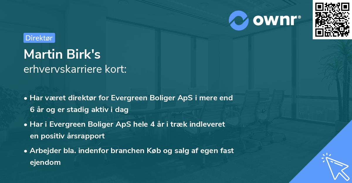 Martin Birk's erhvervskarriere kort