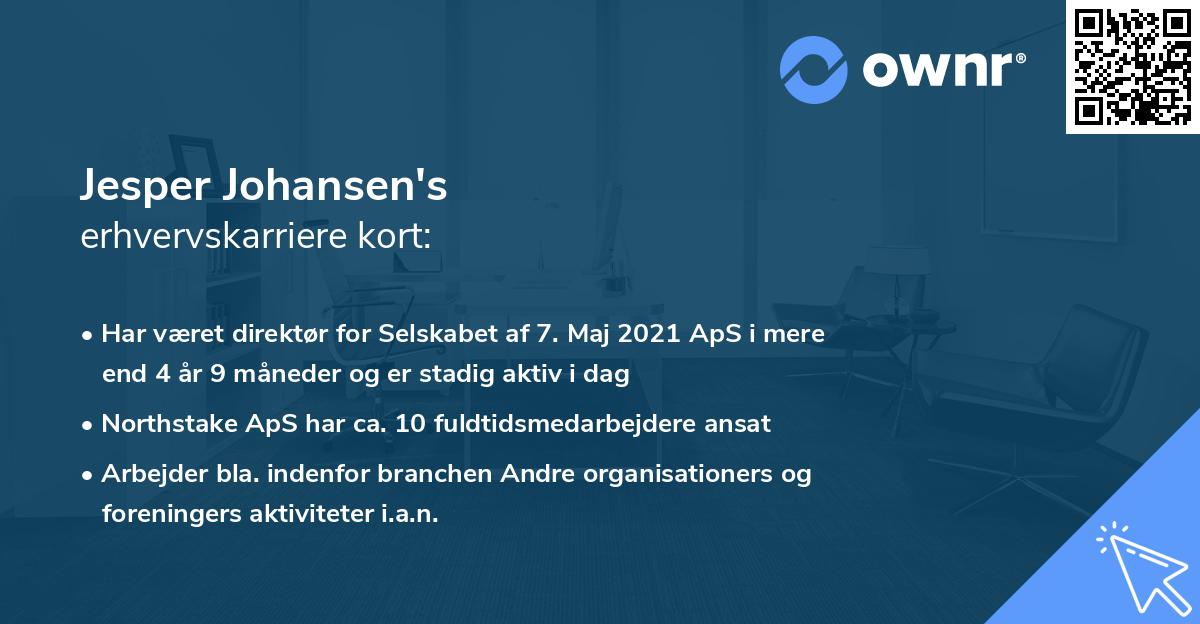 Jesper Johansen's erhvervskarriere kort