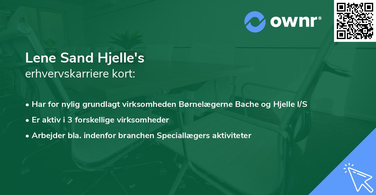 Lene Sand Hjelle's erhvervskarriere kort