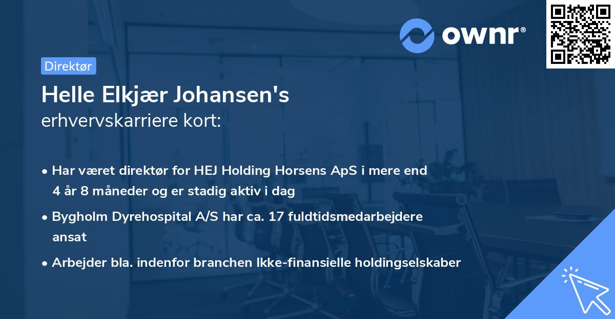 Helle Elkjær Johansen's erhvervskarriere kort
