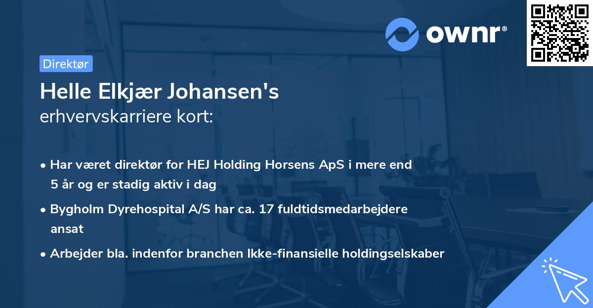 Helle Elkjær Johansen's erhvervskarriere kort